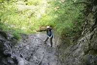 �Ζ�����鎄