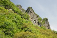 �����R�ƐV��