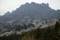 ���̗��Ɩ��`