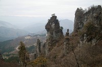 ��₪����