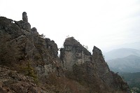 ��₪����