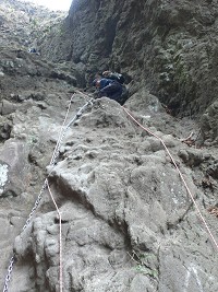 ��ǂ����鎄�̒���