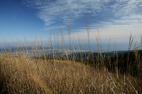 ���͘p�W�]