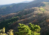 �������x��