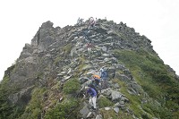 �ƕW�������猩���