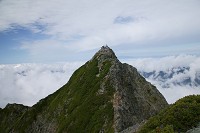 ���̃s�[�N���猩������