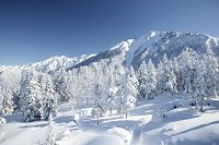 �W�]�䂩�琼�䍂