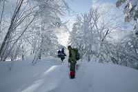 ���X�̒����s��