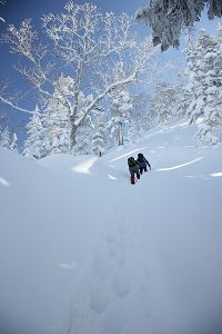 �o�R����o��