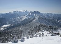 �R���ォ��Ċx