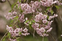 ���O��̎R��