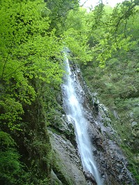 �{�I�̑�ƐV��