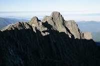 ����R����O����W�����_����