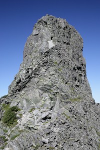 �W�����_����