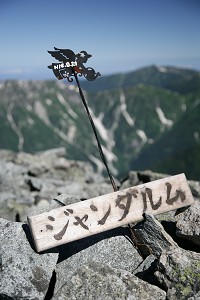 �W�����_������