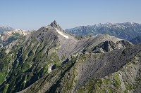 �W�����_�������瑄���x