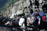 �R�u�����̓����牺��