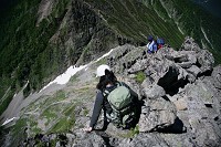 �}�Ȕ��������鎄