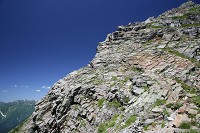 �V��t�w�X���u