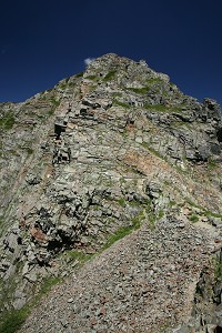 �V���U��Ԃ�