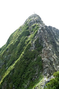 ����R�������o��