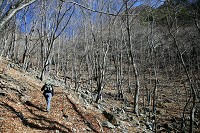 �т̒����s��