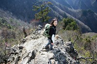 ���ɗ���