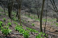 �R�o�C�P�C�\�E