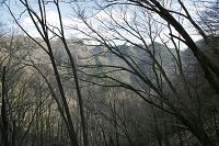 �������t��