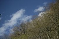 �o�R���V��