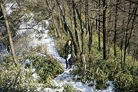 �o�R�����s����