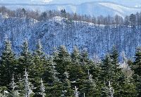 �R���̌i�F