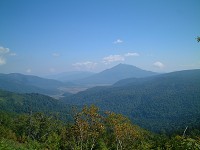 ���������������x