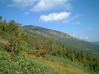 �����R����]��