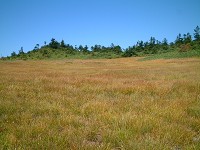 �����̑��g�t