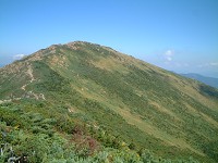 ���������玊���R