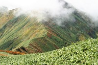 �V�_�����̍g�t