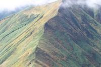 �V�_��������g�t