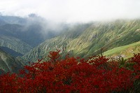 �Ő��t�߂̍g�t