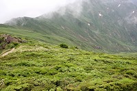 �Ő�����i�F