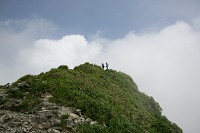 �g�}�̎��R��