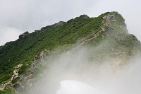 �g�}�̎�����I�L�̎�