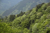 �T���n�߂̎O��R