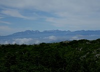 �k�A���v�X�̕�