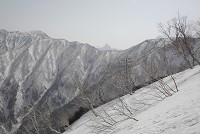 ��������㕔���瑄