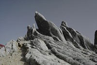 �R�����̃C�O�A�i�̂悤�ȃI�u�W�F