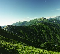 ���R���Ƃ��̗Ő�