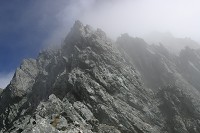 �R����U��Ԃ�