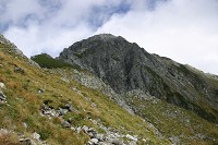 �O�����癛�x