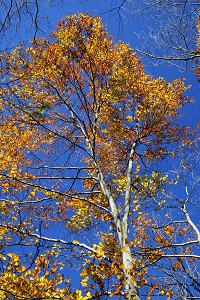 ���t�����